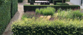 Haagplanten